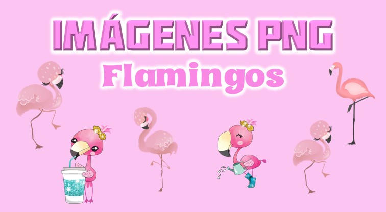 Imágenes de Flamingos en PNG fondo Transparente